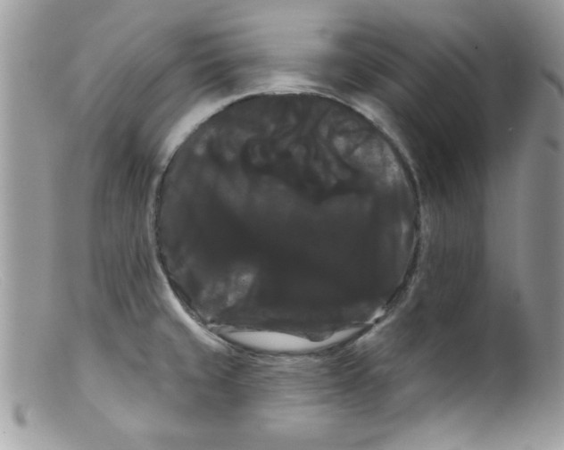 X0000098131429200805151105