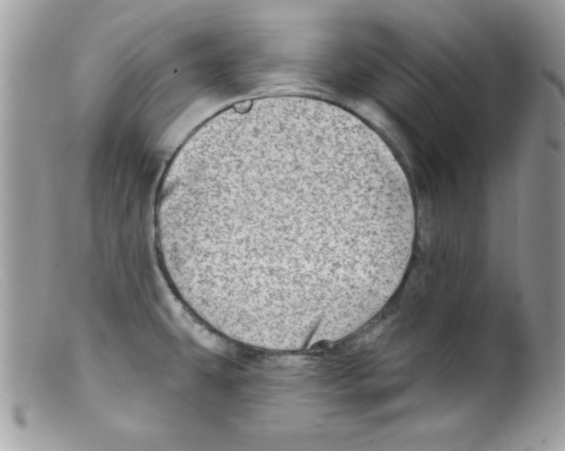 X0000098131431200805151105