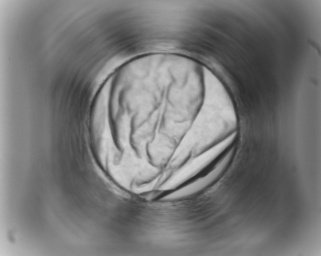 X0000098131432200805151105