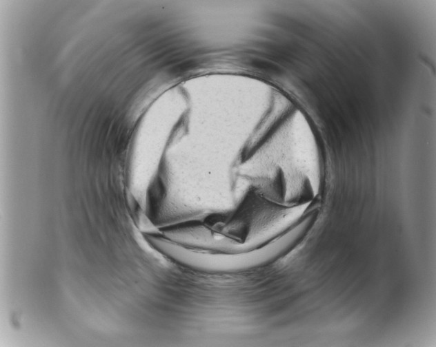 X0000098131433200805151105