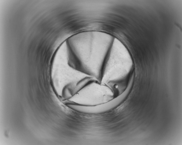X0000098131434200805151105