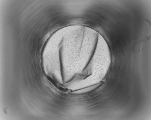 X0000098131435200805151105