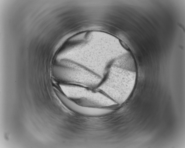X0000098131436200805151105