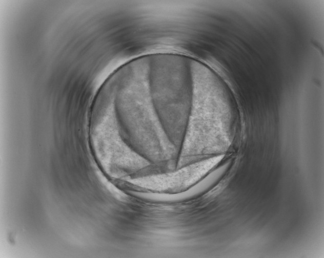 X0000098131438200805151105