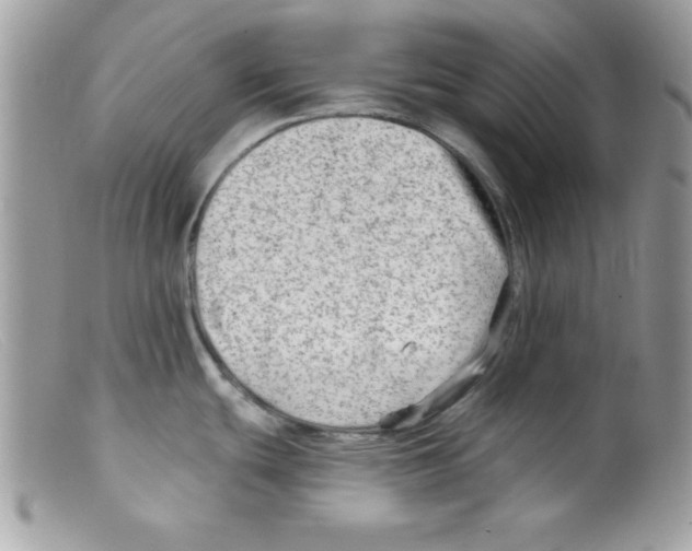 X0000098131439200805151105
