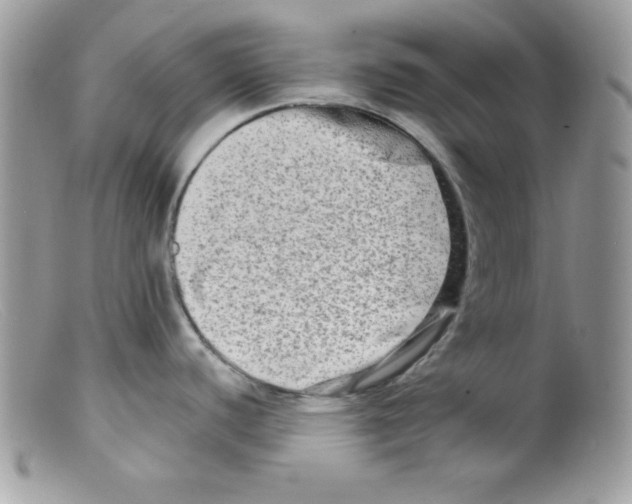 X0000098131440200805151105