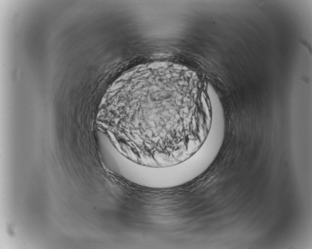 X0000098131441200805151104