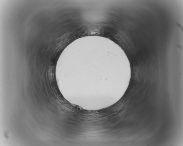 X0000098131442200805151104