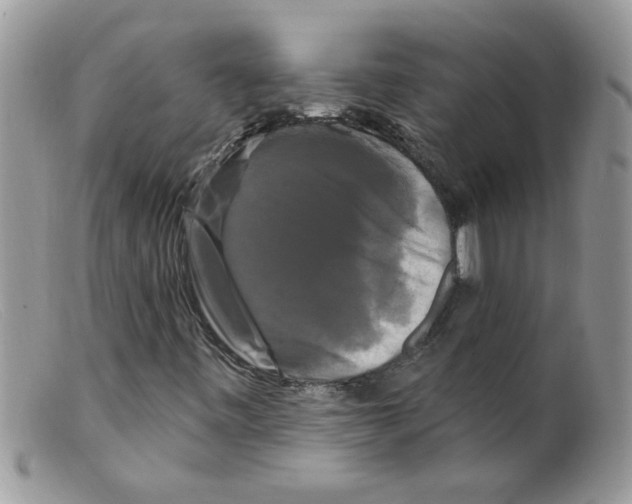 X0000098131443200805151104
