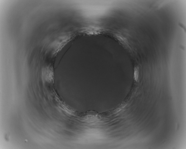 X0000098131444200805151104