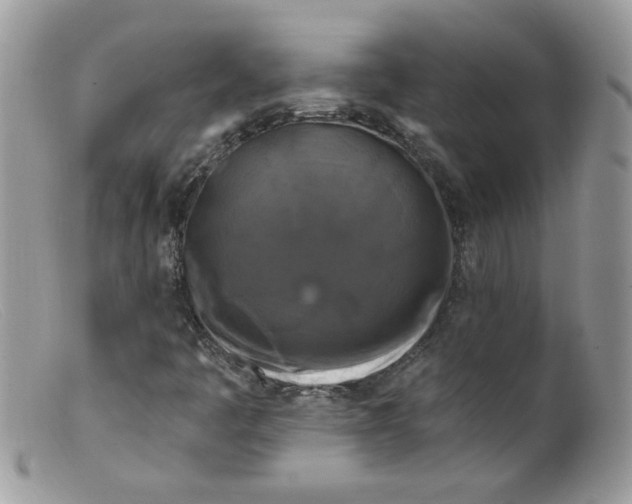 X0000098131445200805151104