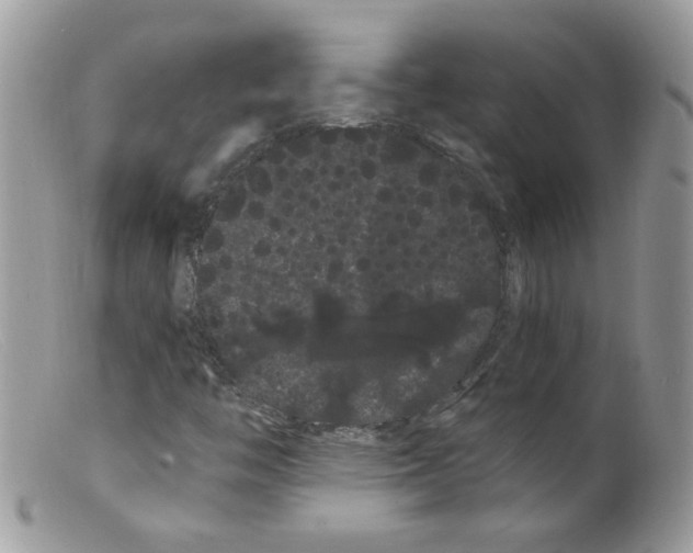 X0000098131446200805151104