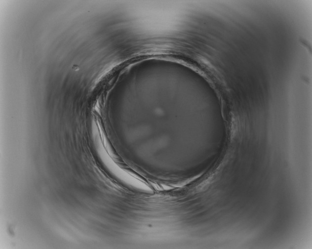X0000098131449200805151104