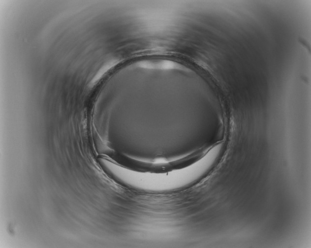 X0000098131450200805151104