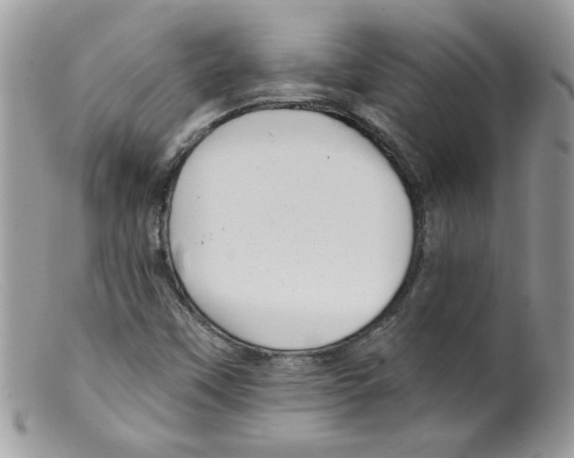 X0000098131451200805151104