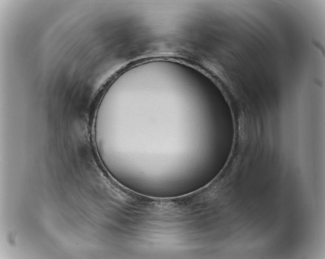 X0000098131452200805151104