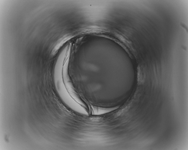 X0000098131453200805151104