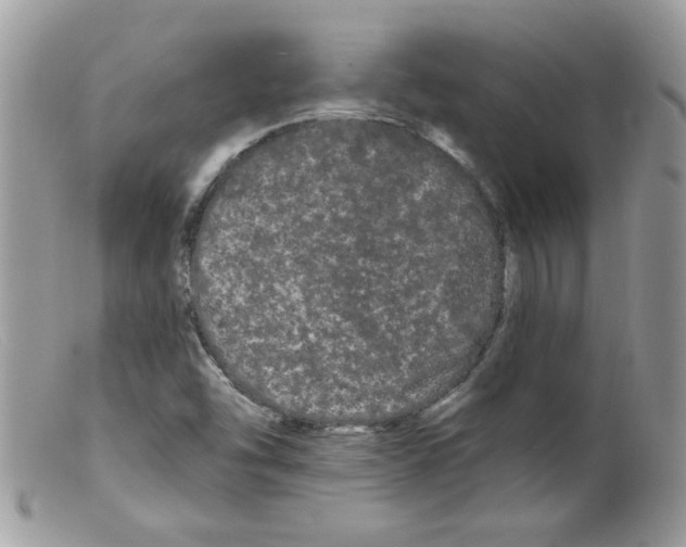 X0000098131454200805151104