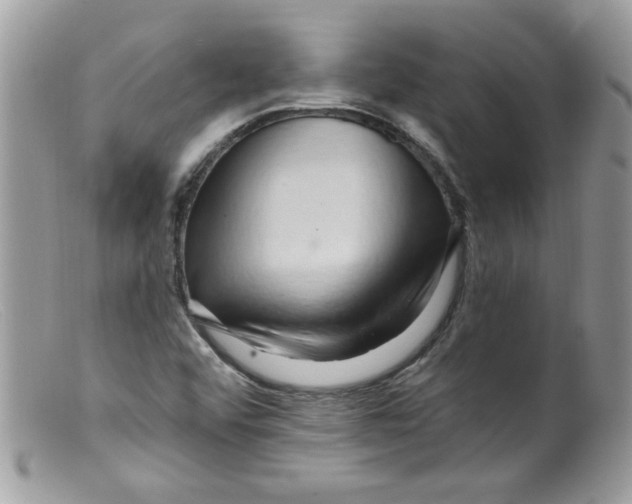 X0000098131456200805151104