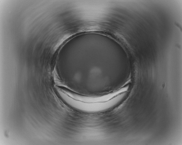 X0000098131457200805151104