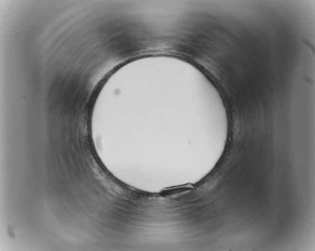 X0000098131458200805151104