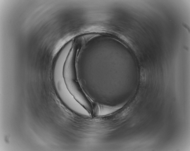 X0000098131461200805151104