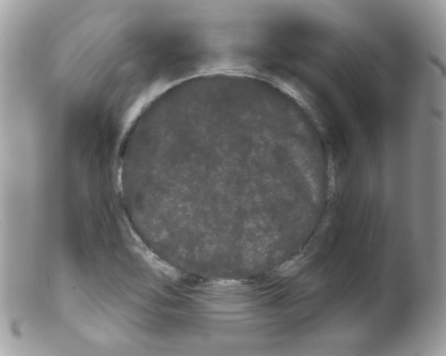 X0000098131462200805151104
