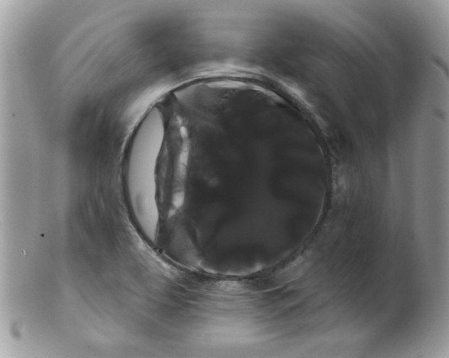 X0000098131463200805151104