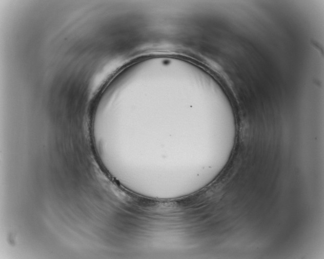 X0000098131464200805151104