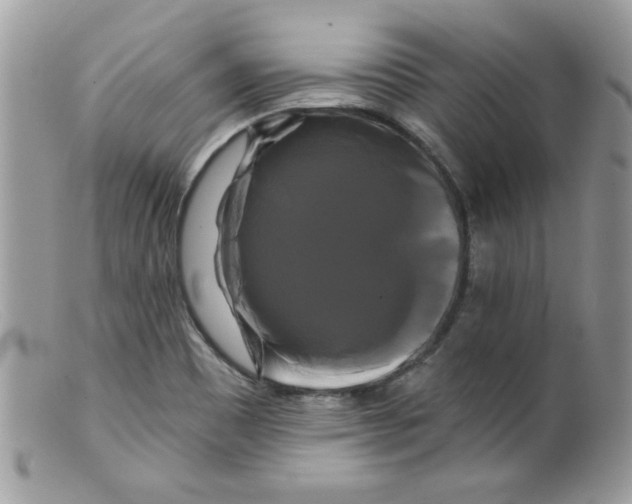 X0000098131465200805151104