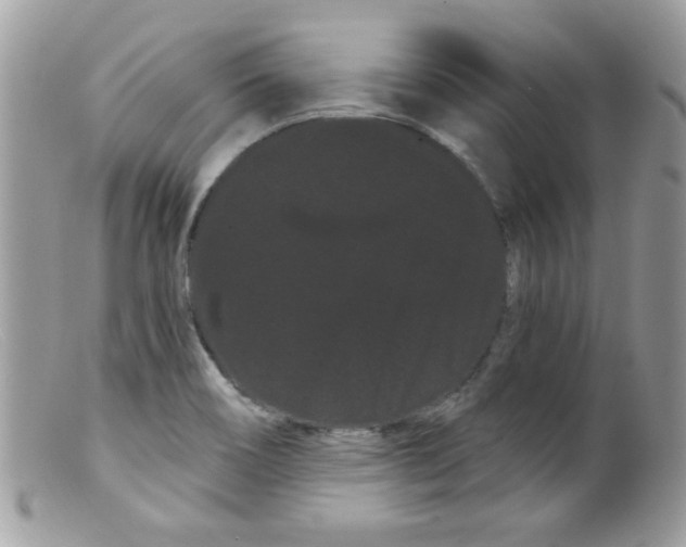 X0000098131466200805151104