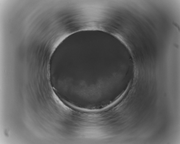 X0000098131468200805151104