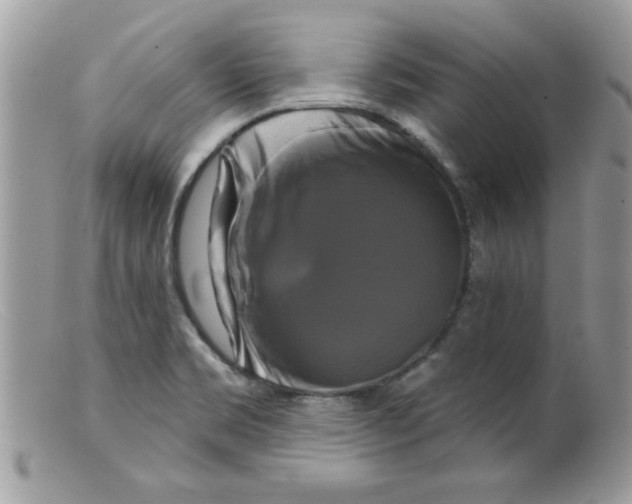 X0000098131469200805151104