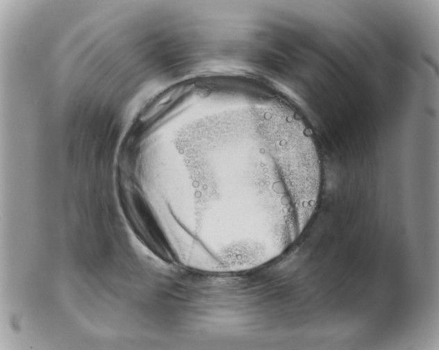 X0000098131471200805151104