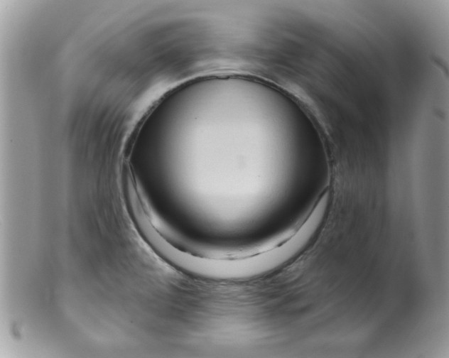 X0000098131472200805151104