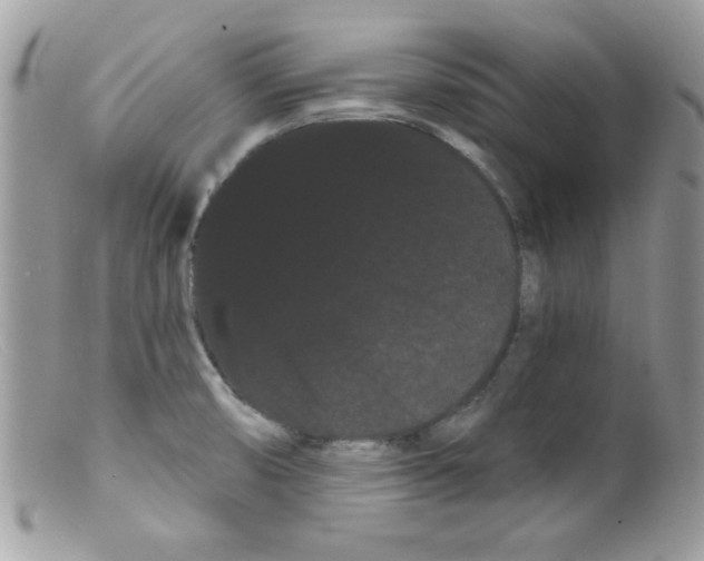 X0000098131474200805151104