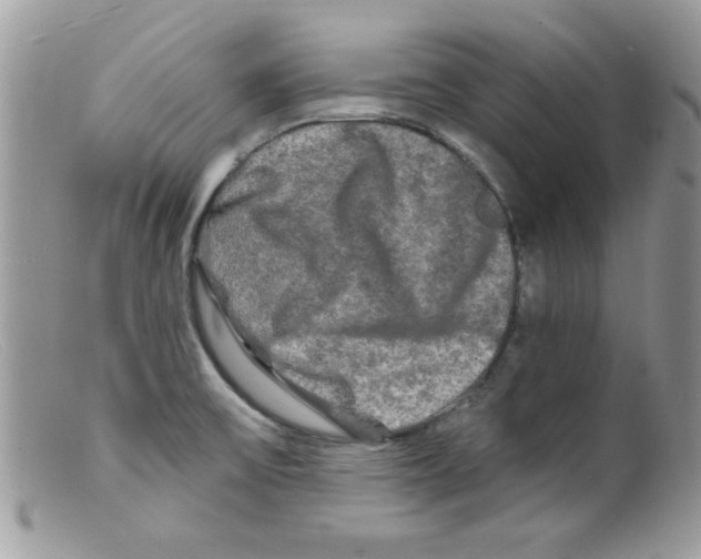 X0000098131475200805151104