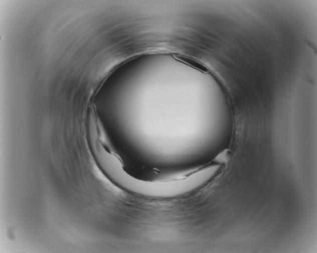 X0000098131476200805151104