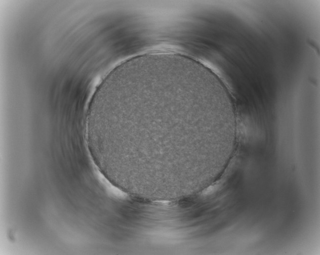 X0000098131478200805151104