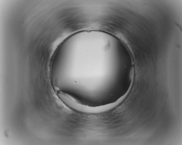 X0000098131480200805151104