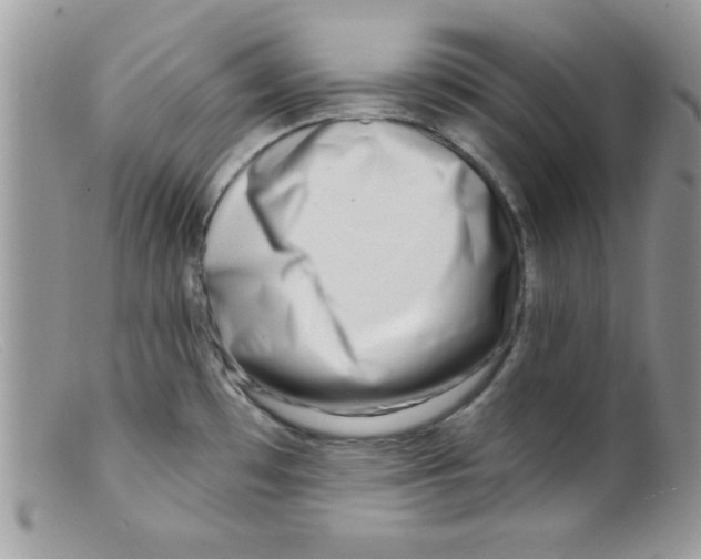 X0000098131481200805151104