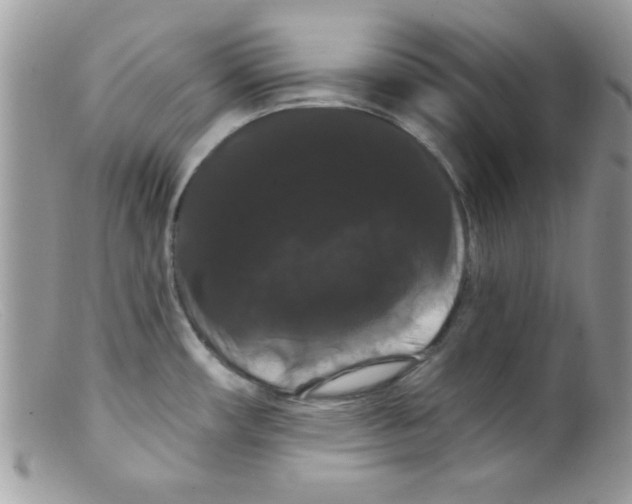 X0000098131482200805151104