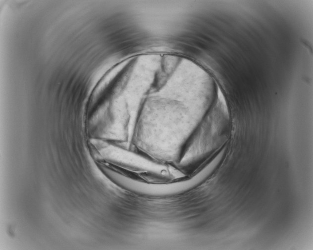 X0000098131483200805151104