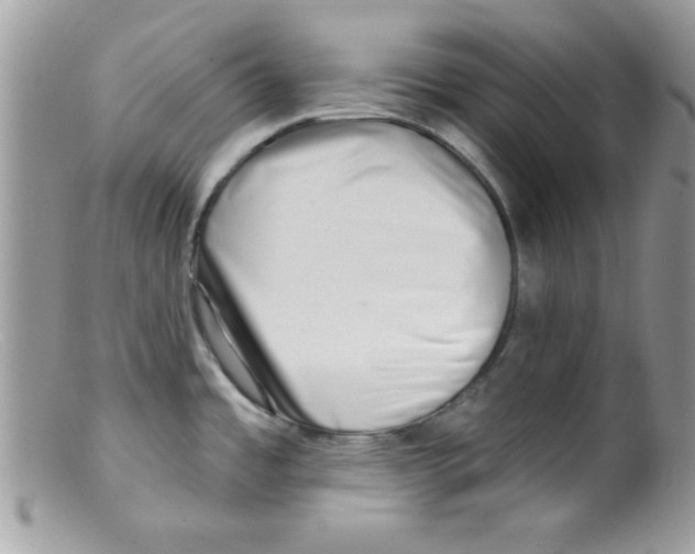 X0000098131485200805151104