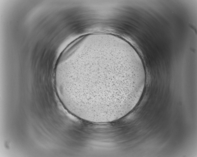X0000098131486200805151104