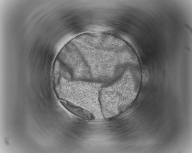 X0000098131487200805151104