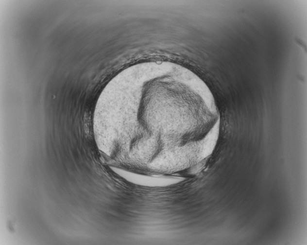 X0000098131490200805151103