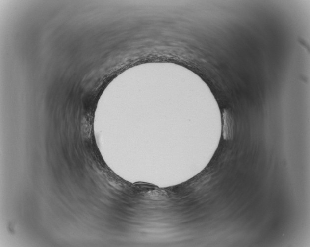 X0000098131491200805151103