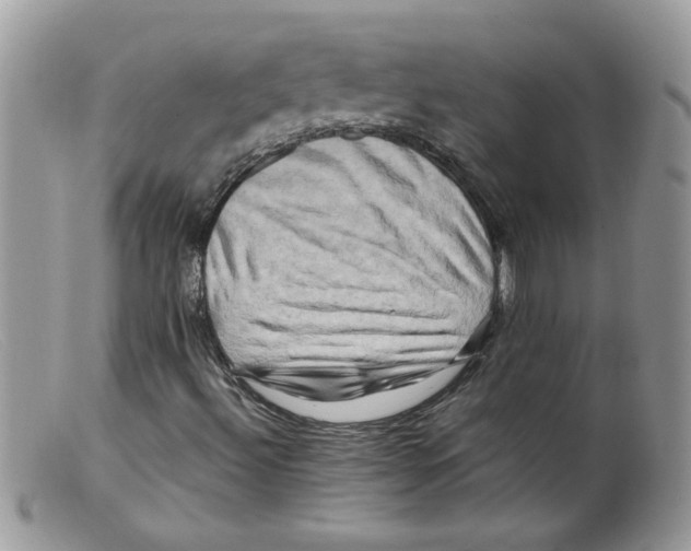 X0000098131492200805151103