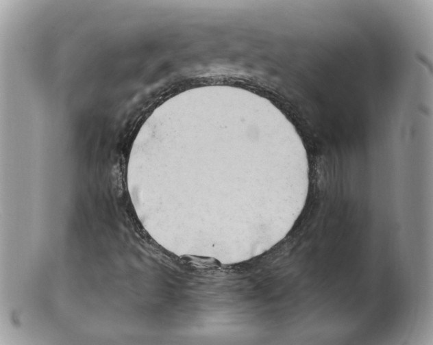 X0000098131493200805151103